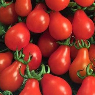 Hạt giống cà chua lê đỏ 50 hạt