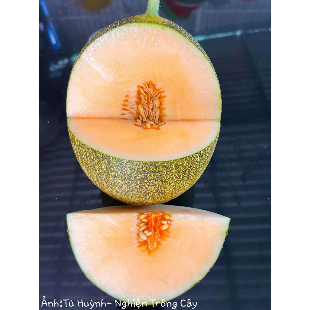 Dưa lưới Hami New F1 (Gói 5 hạt )