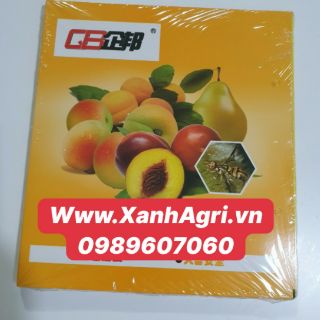 Miếng bẫy ruồi vàng 20 miếng