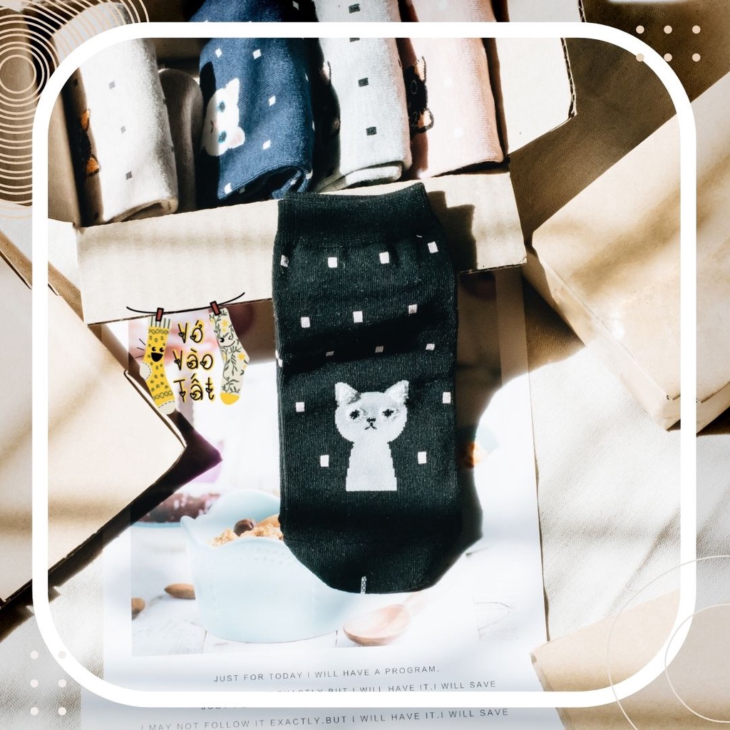 TẤT VỚ CỔ NGẮN MÈO ĐÁNG YÊU