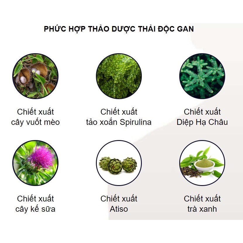 Viên uống Detox Herb hỗ trợ diệt ký sinh trùng và tăng cường hệ miễn dịch, hộp 20 viên – Health Pharmacy