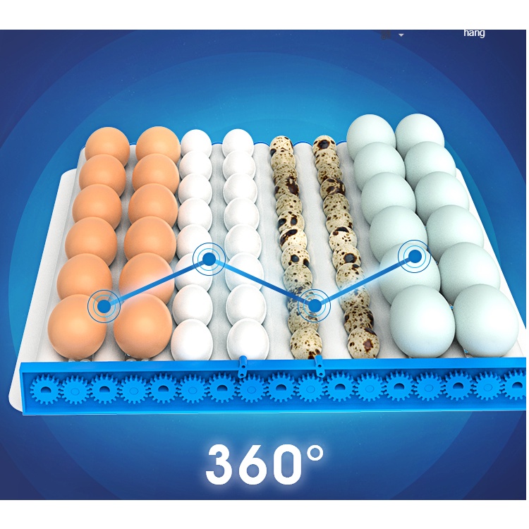 Máy ấp trứng tự động 16-36 quả
