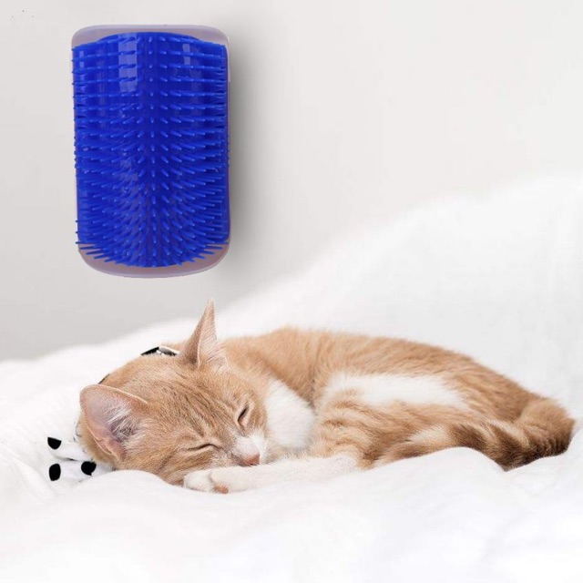 Dụng cụ chải lông kèm theo Catnip cho mèo