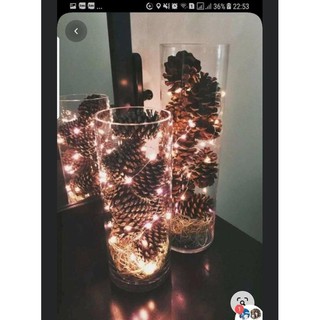 Quả thông khô size 2-4cm