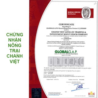 Nước cốt chanh 100A Chavi chai 1lít – Chiết xuất từ chanh tươi chất lượng, tạo vị chua tự nhiên.