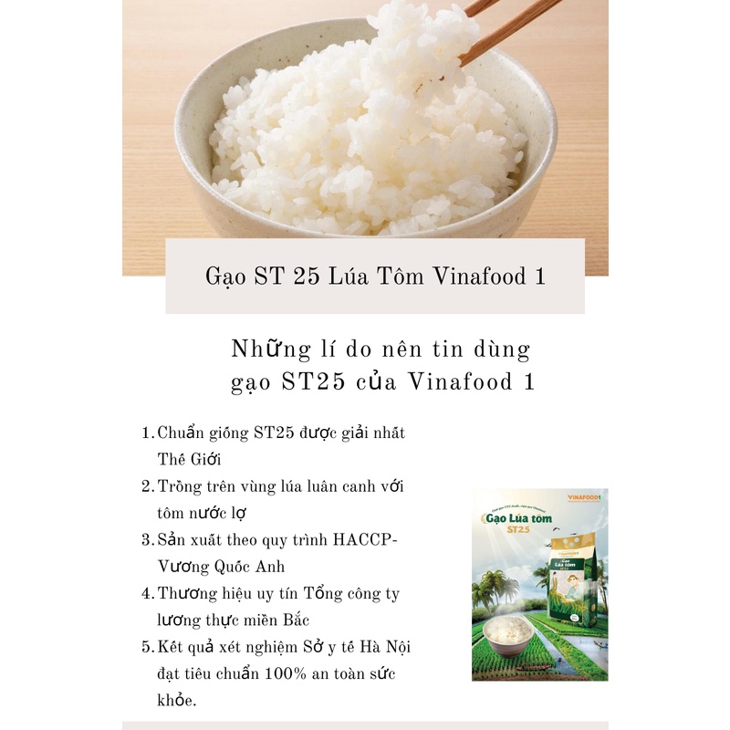 Gạo ST25 Lúa Tôm Vinafood1 Chuẩn giống lúa của bác Hồ Quang Cua