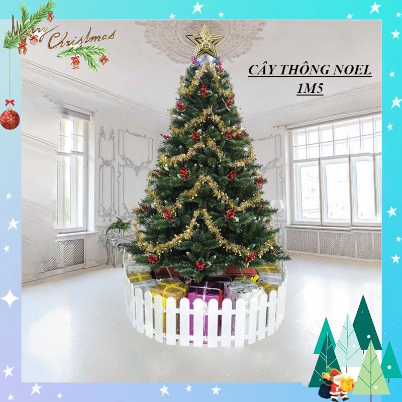 Cây thông noel 3 loại lá 1m5, cây thông noel gắn trái đỏ 1m5 tán lá dày trang trí giáng sinh trong nhà ngoài trời