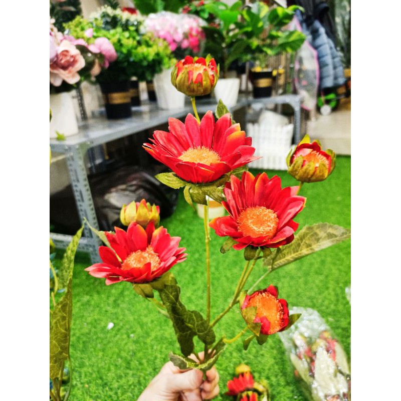 🌼Cành Hoa Cúc Bông to cao 70cm 🌼- Hàng đẹp
