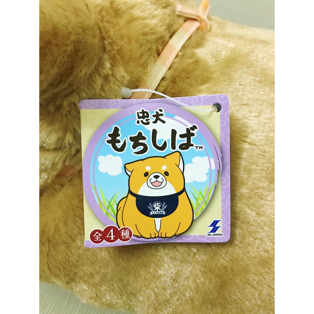 SK JAPAN - Bé cún Mochishiba đội mũ chóp cute