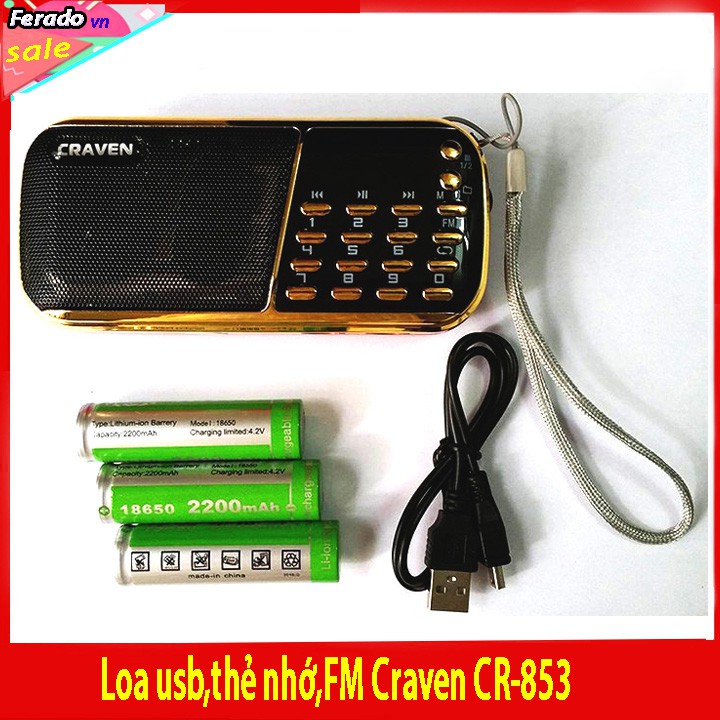 Loa usb,thẻ nhớ,FM Craven CR-853