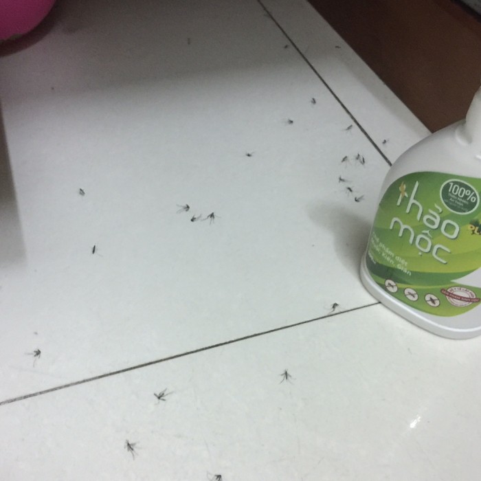 [An toàn & Tự nhiên] Bình xịt- thuốc diệt muỗi, kiến, giánThảo Mộc Plus - Số 1 Diệt Côn Trùng Hương sả chanh[Freeship150