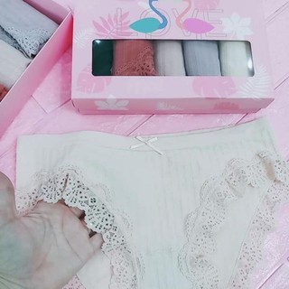 set 5 Quần CHÍP KHÁNG KHUẨN