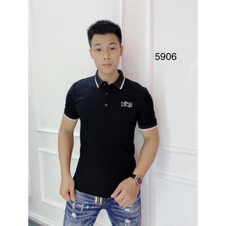 Áo Polo phối cổ kẻ lịch lãm