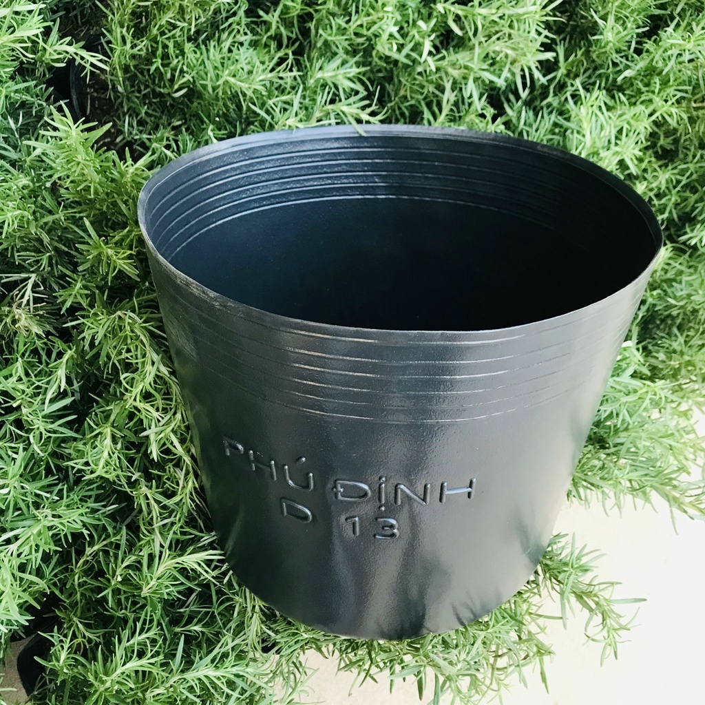 Bầu ươm cây cứng D13, chậu nhựa đen trồng cây kích thước 35x29cm
