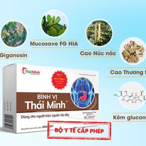BÌNH VỊ THÁI MINH – Hỗ trợ giảm đau dạ dày, trào ngược và viêm loét dạ dày (hộp 20 viên)