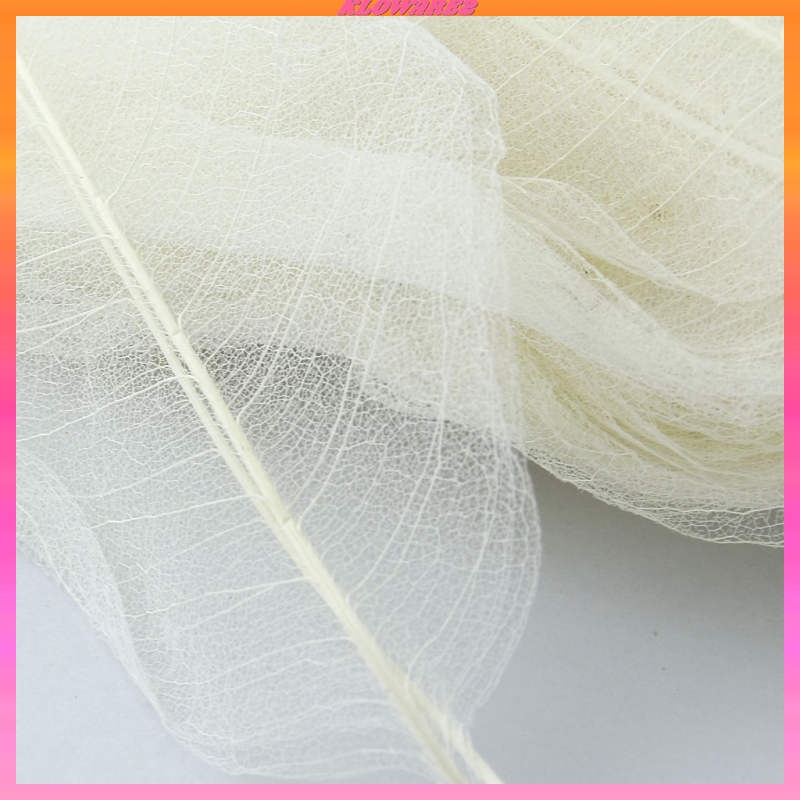 Set 2 / 50 Lá Mộc Lan Tự Nhiên Màu Trắng Trang Trí Sổ Tay