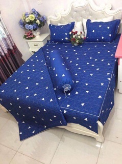 Set vỏ chăn ga trần bông