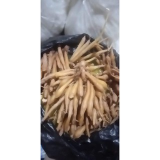 Củ Ngãi bún nấu nước lèo