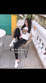 Bộ len hổ