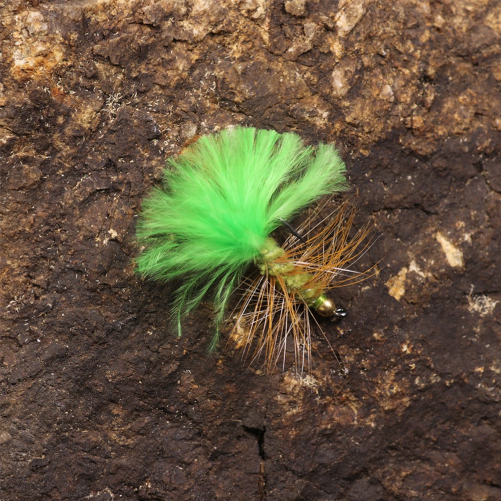 Bộ 5 mồi câu cá nhân tạo hình côn trùng màu ngẫu nhiên có lưỡi câu tiện dụng