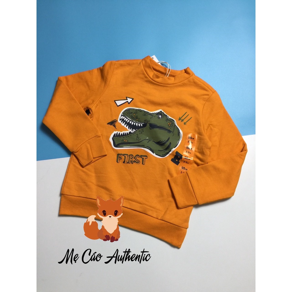 Áo nỉ Sinsay Auth cho bé