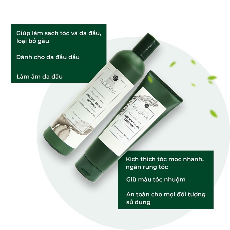 Dầu Gội Xả Weilaiya Tinh Chất Gừng Hỗ Trợ Mọc Tóc Giảm gãy rụng