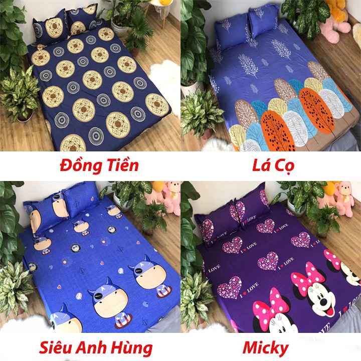 Bộ Ga gối Cotton Poly Các Mẫu Hót Nhất 2019