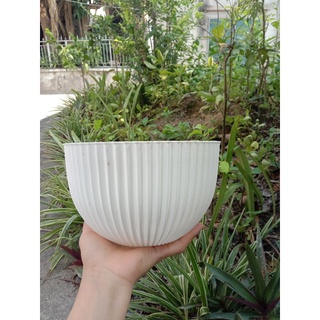 chậu nhựa trồng hoa chòn  kẻ sọc cao 13cm x r 20cm