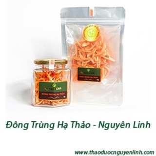 ĐÔNG TRÙNG HẠ THẢO NGUYÊN LINH 10G