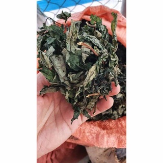 lá đắng thảo dược dạ dày