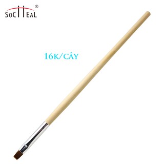 cọ đắp gel, tán màu nails