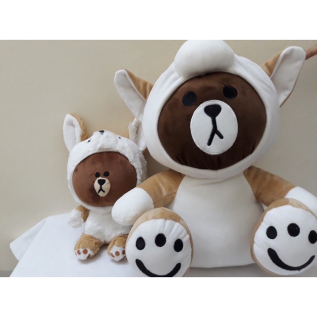 Gấu brown đội mũ cáo (ảnh thật)