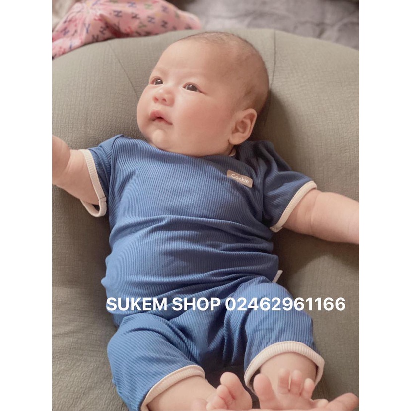 COOKIE - Bộ Cộc Tay Chui Đầu Phối Viền Chất Cotton Tăm Mềm Mại