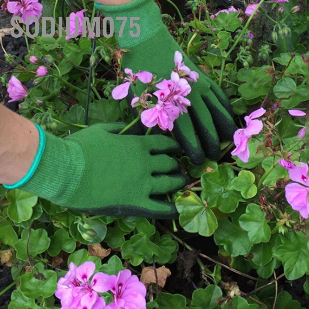 Găng tay lao động làm vườn trồng rau và hoa chống nước