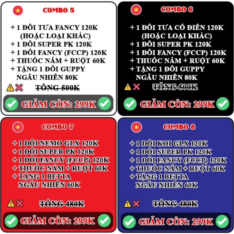 12 COMBO BETTA FOOD - BETTA COFFY ☕️ Thức ăn cho cá