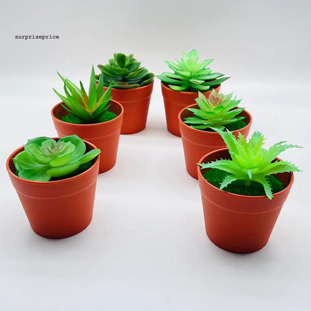 Chậu Cây Cảnh Nhân Tạo Sống Động Dùng Trang Trí