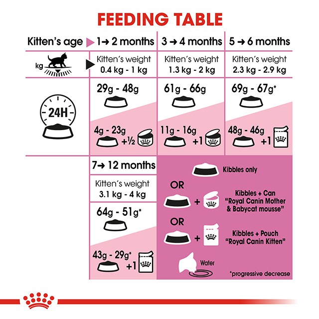 Thức Ăn Hạt Cho Mèo Royal Canin Kitten 36 I Túi 2Kg