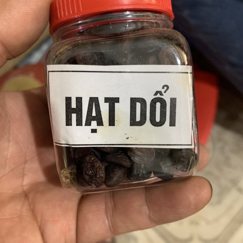 Hạt dổi đặc sản núi rừng  hộp 50g