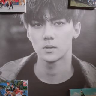 POSTER SEHUN