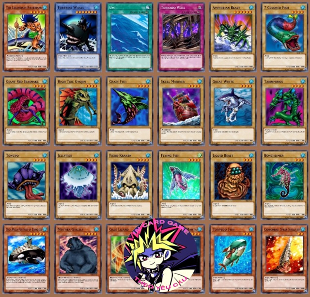 Bộ bài của RYOTA KAJIKI