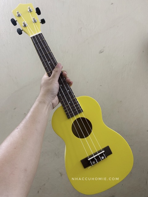 ĐÀN UKULELE CONCERT 23INCH FULL MÀU