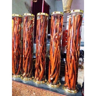 🌲🌲SÂM CAU RỪNG 1ký