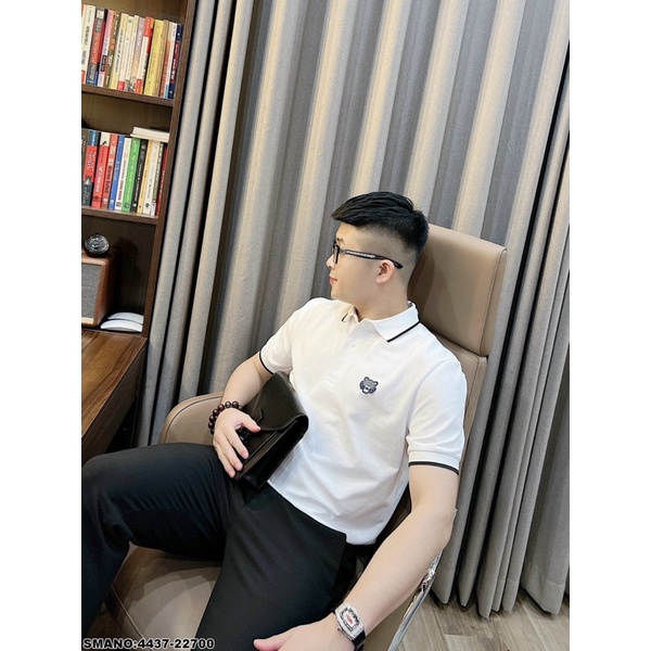 Áo cộc polo nam, áo polo hè nam chất đẹp