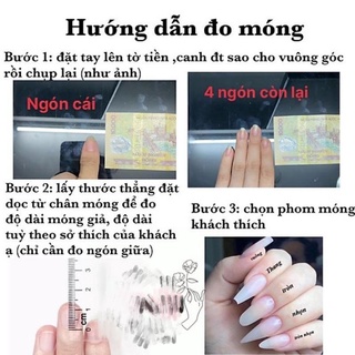 Nail box thiết kế