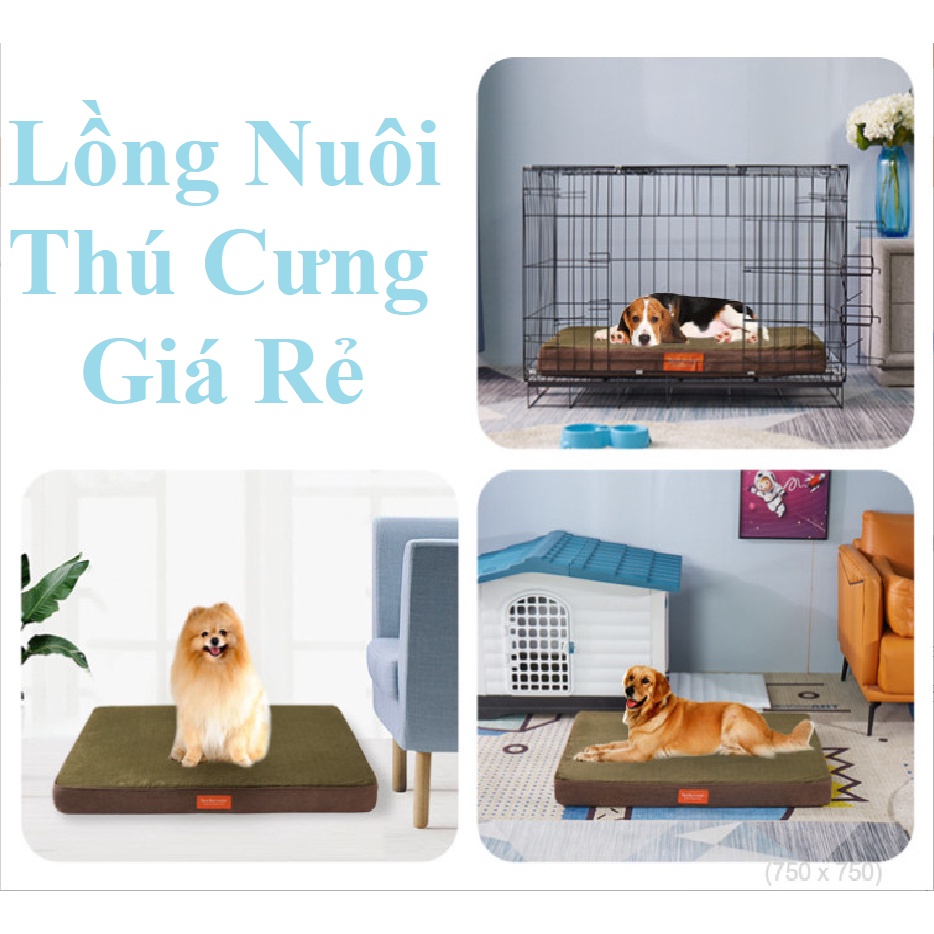 Lồng chó mèo sơn tĩnh điện kích thước 50x35x42cm ( chó mèo dưới 5kg), lồng cho thú cưng siêu đẹp