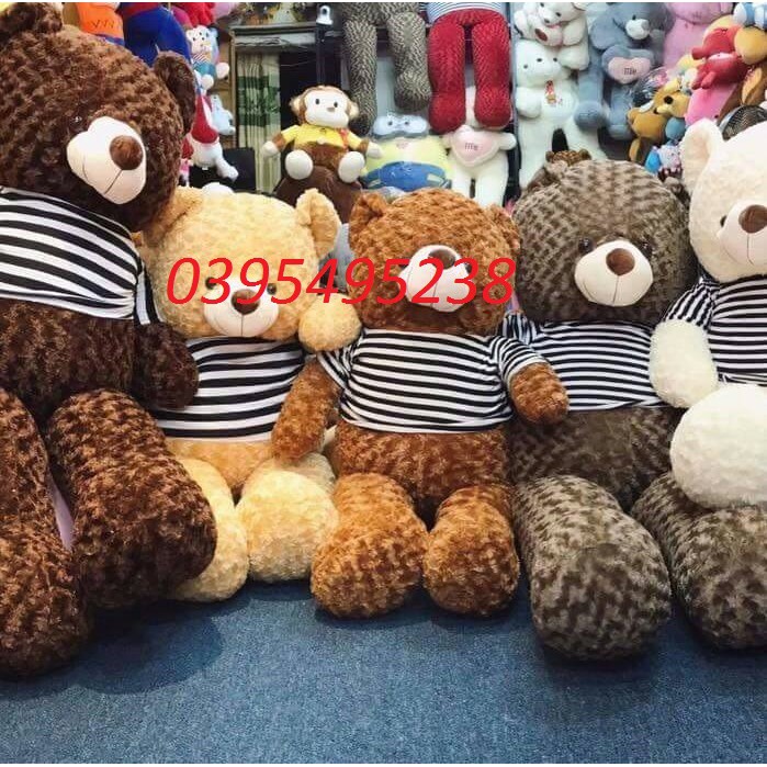 Gấu teddy 1m