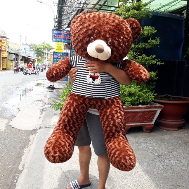 GẤU TEDDY SIÊU KHỦNG 1M2