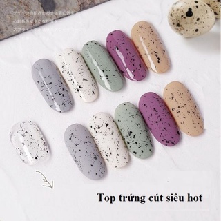 Sơn Gel Top Trứng Cút AS Chai đen