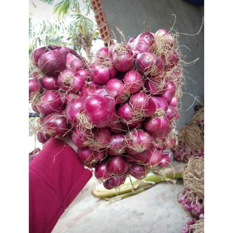 CỦ HÀNH TÍM VĨNH CHÂU, SÓC TRĂNG 1kg