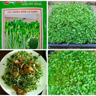 HẠT GIỐNG RAU MẦM LƠ XANH GÓI 20 GRAM